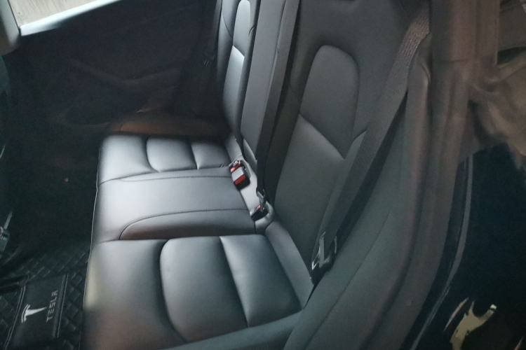Used Tesla Model 3 2019 Standard Range Rear-Drive Upgraded Version Left Rear Seat