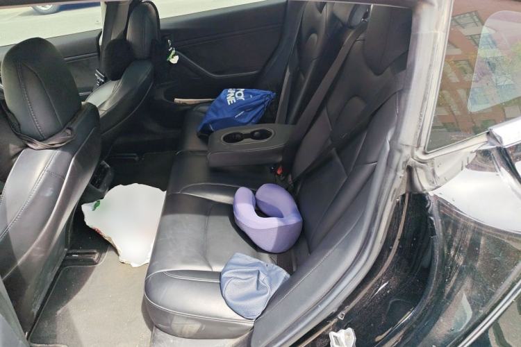 Used Tesla Model 3 2019 Long-Range All-Wheel-Drive Version Left Rear Seat