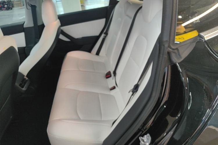 Used Tesla Model 3 2019 Long-Range All-Wheel-Drive Version Left Rear Seat