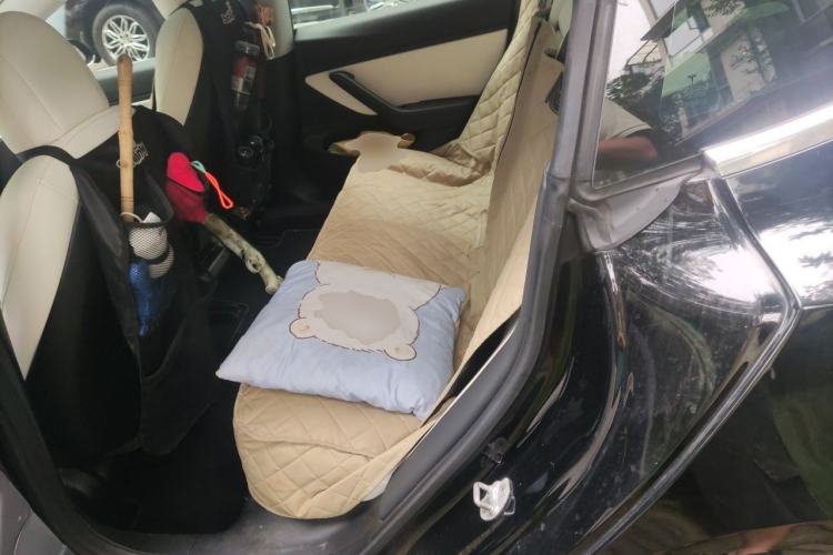 Used Tesla Model 3 2019 Long-Range Rear-Wheel-Drive Version Left Rear Seat