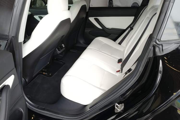Used Tesla Model 3 2019 Long-Range All-Wheel-Drive Version Left Rear Seat