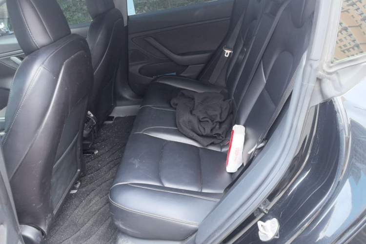 Used Tesla Model 3 2019 Long-Range All-Wheel-Drive Version Left Rear Seat