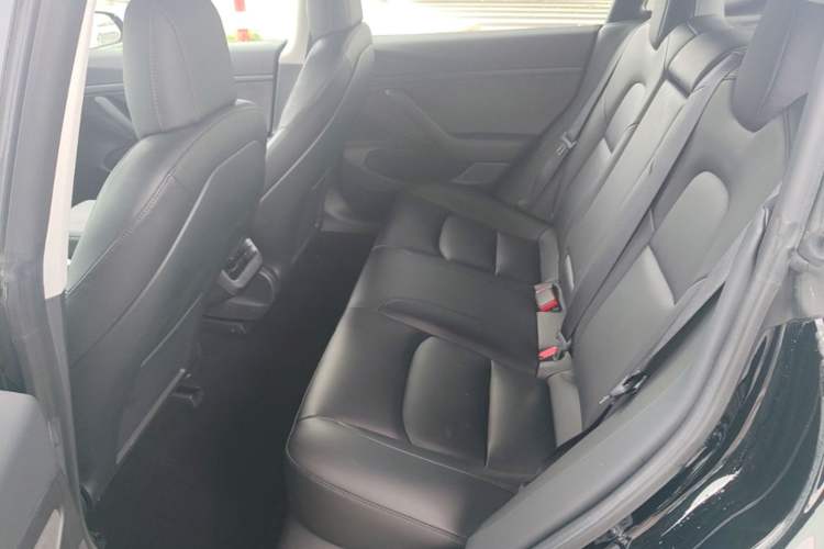Used Tesla Model 3 2019 Standard Range Rear-Drive Upgraded Version Left Rear Seat