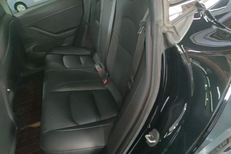 Used Tesla Model 3 2019 Standard Range Rear-Drive Upgraded Version Left Rear Seat