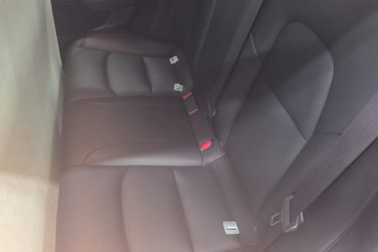 Used Tesla Model 3 2019 Standard Range Rear-Drive Upgraded Version Left Rear Seat