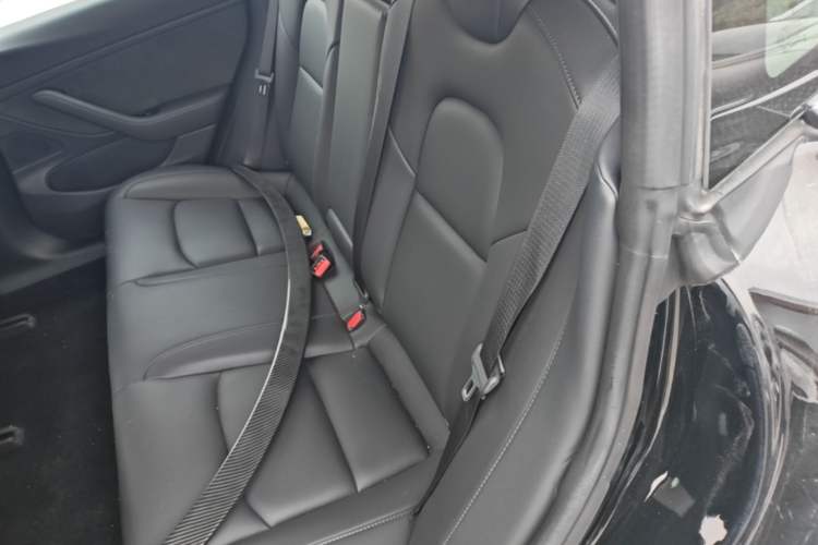 Used Tesla Model 3 2019 Long-Range All-Wheel-Drive Version Left Rear Seat