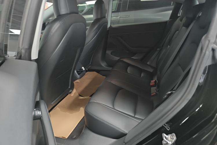 Used Tesla Model 3 2019 Standard Range Rear-Drive Upgraded Version Left Rear Seat