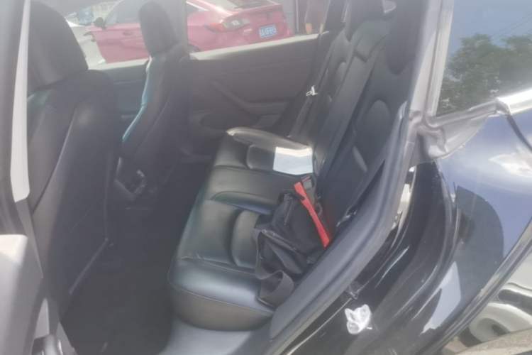 Used Tesla Model 3 2019 Standard Range Rear-Drive Upgraded Version Left Rear Seat