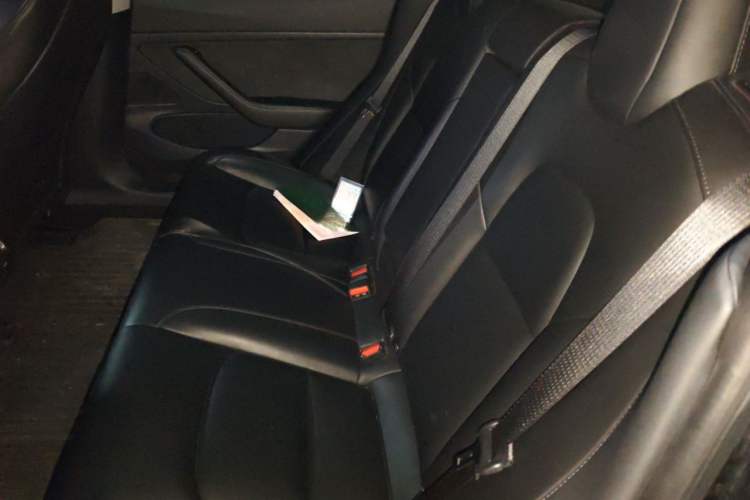 Used Tesla Model 3 2019 Standard Range Rear-Drive Upgraded Version Left Rear Seat