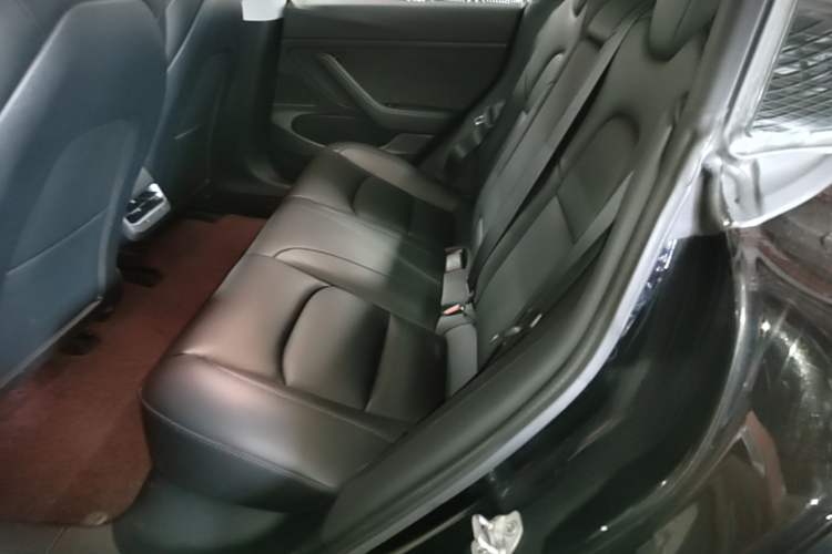 Used Tesla Model 3 2019 Standard Range Rear-Drive Upgraded Version Left Rear Seat