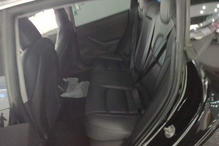 Used Tesla Model 3 2019 Long-Range Rear-Wheel-Drive Version Left Rear Seat