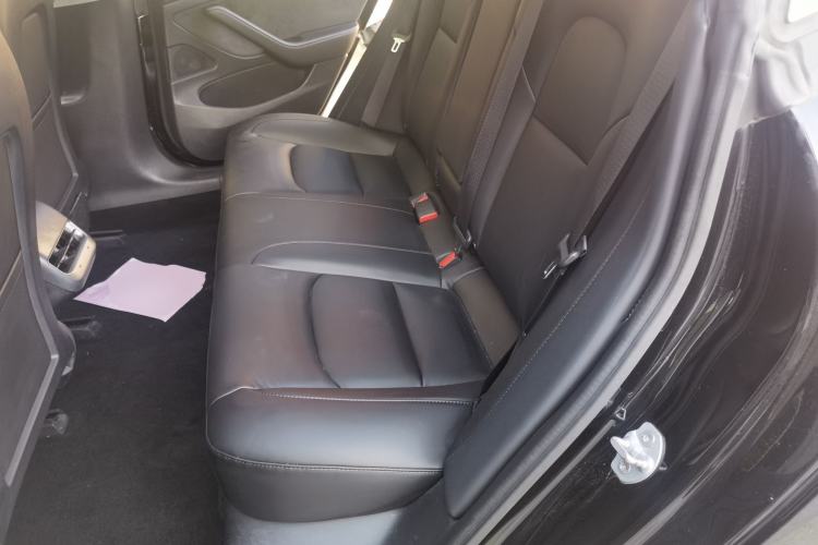 Used Tesla Model 3 2019 Standard Range Rear-Drive Upgraded Version Left Rear Seat