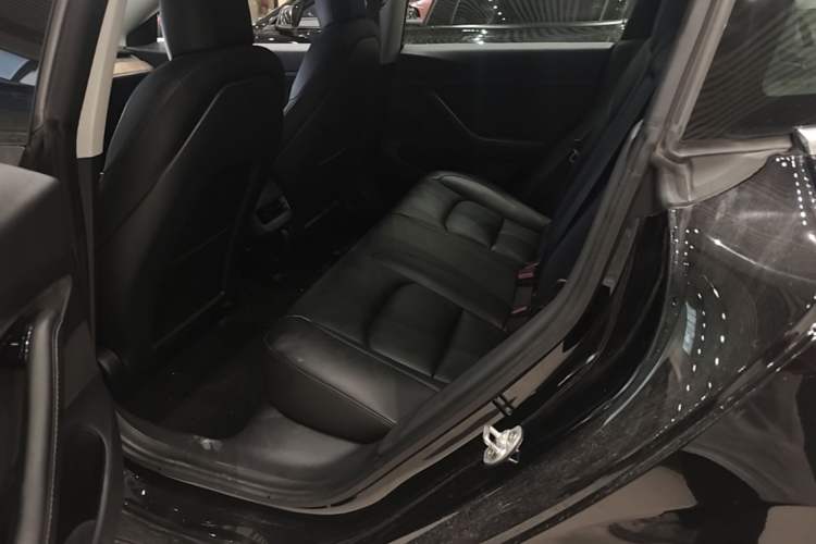Used Tesla Model 3 2019 Standard Range Rear-Drive Upgraded Version Left Rear Seat