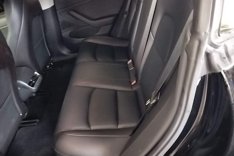 Used Tesla Model 3 2019 Long-Range All-Wheel-Drive Version Left Rear Seat