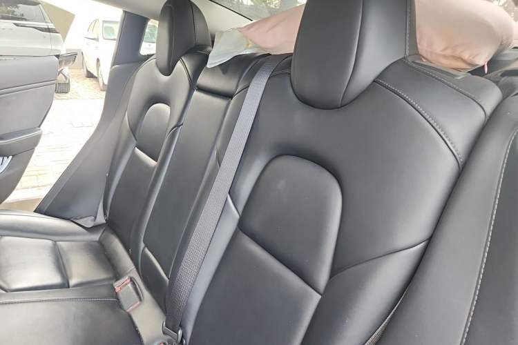 Used Tesla Model 3 2019 Long-Range Rear-Wheel-Drive Version Left Rear Seat