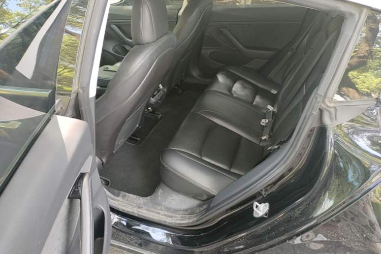 Used Tesla Model 3 2019 Long-Range Rear-Wheel-Drive Version Left Rear Seat