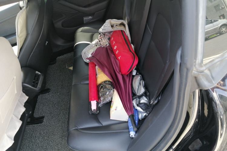 Used Tesla Model 3 2019 Standard Range Rear-Drive Upgraded Version Left Rear Seat