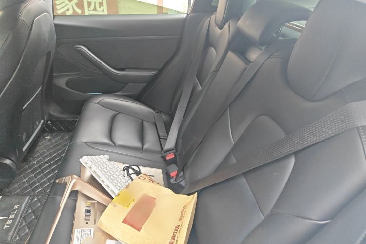 Used Tesla Model 3 2019 Standard Range Rear-Drive Upgraded Version Left Rear Seat