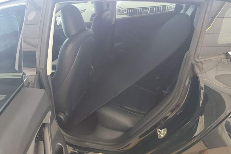 Used Tesla Model 3 2019 Standard Range Rear-Drive Upgraded Version Left Rear Seat