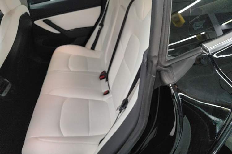 Used Tesla Model 3 2019 Long-Range All-Wheel-Drive Version Left Rear Seat