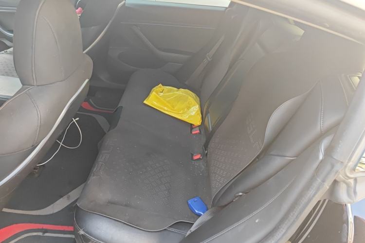 Used Tesla Model 3 2019 Long-Range All-Wheel-Drive Version Left Rear Seat