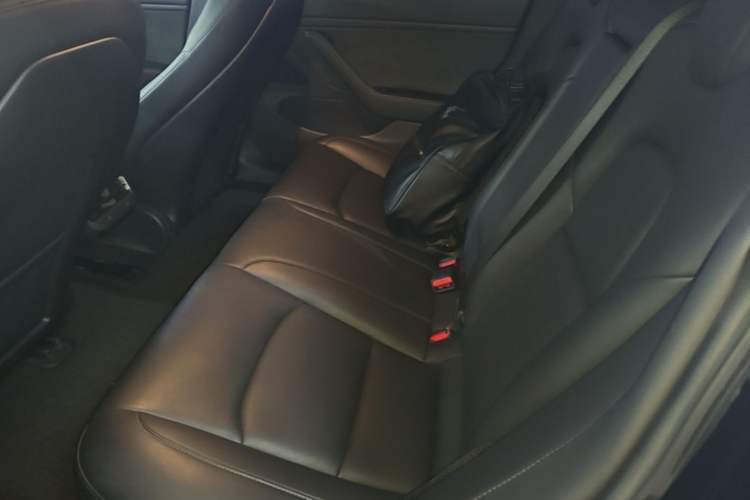 Used Tesla Model 3 2019 Long-Range Rear-Wheel-Drive Version Left Rear Seat