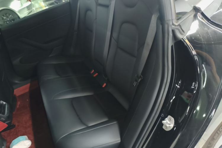 Used Tesla Model 3 2019 Long-Range Rear-Wheel-Drive Version Left Rear Seat