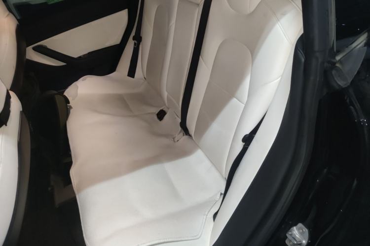 Used Tesla Model 3 2019 Long-Range All-Wheel-Drive Version Left Rear Seat