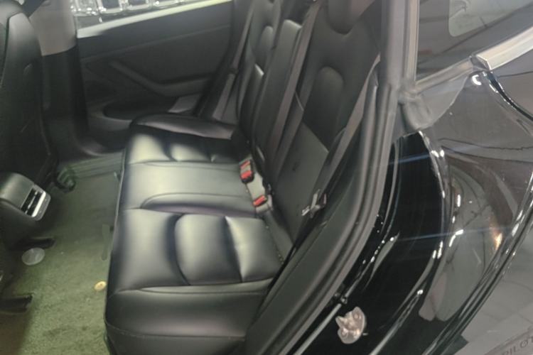 Used Tesla Model 3 2019 Standard Range Rear-Drive Upgraded Version Left Rear Seat