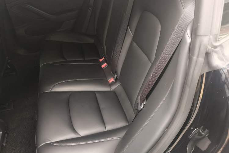 Used Tesla Model 3 2019 Standard Range Rear-Drive Upgraded Version Left Rear Seat