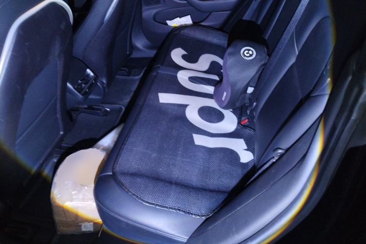 Used Tesla Model 3 2019 Long-Range Rear-Wheel-Drive Version Left Rear Seat
