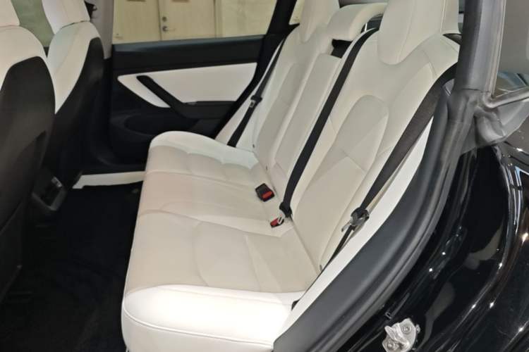 Used Tesla Model 3 2019 Long-Range All-Wheel-Drive Version Left Rear Seat