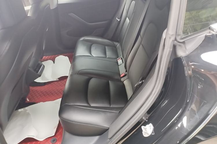 Used Tesla Model 3 2019 Standard Range Rear-Drive Upgraded Version Left Rear Seat