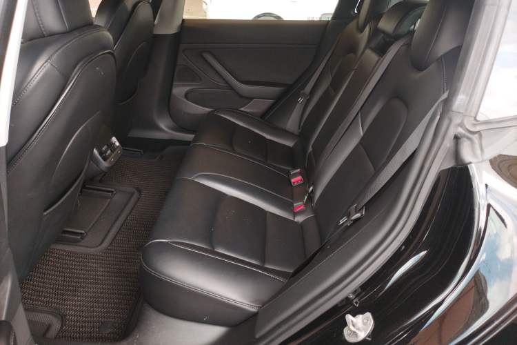 Used Tesla Model 3 2019 Long-Range Rear-Wheel-Drive Version Left Rear Seat