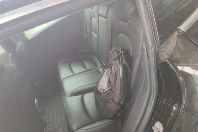 Used Tesla Model 3 2019 Standard Range Rear-Drive Upgraded Version Left Rear Seat