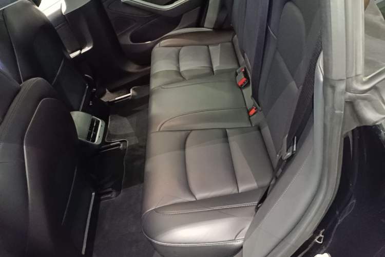 Used Tesla Model 3 2019 Long-Range All-Wheel-Drive Version Left Rear Seat