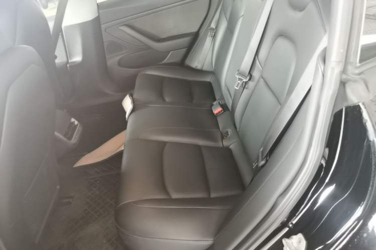 Used Tesla Model 3 2019 Long-Range Rear-Wheel-Drive Version Left Rear Seat