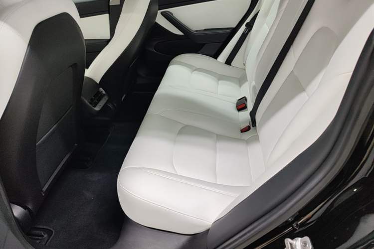 Used Tesla Model 3 2019 Long-Range Rear-Wheel-Drive Version Left Rear Seat