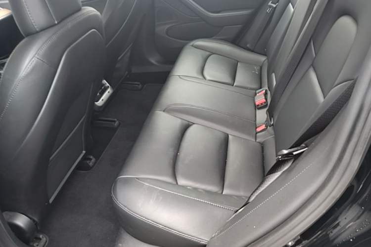 Used Tesla Model 3 2019 Long-Range Rear-Wheel-Drive Version Left Rear Seat