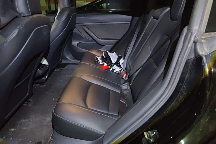 Used Tesla Model 3 2019 Standard Range Rear-Drive Upgraded Version Left Rear Seat