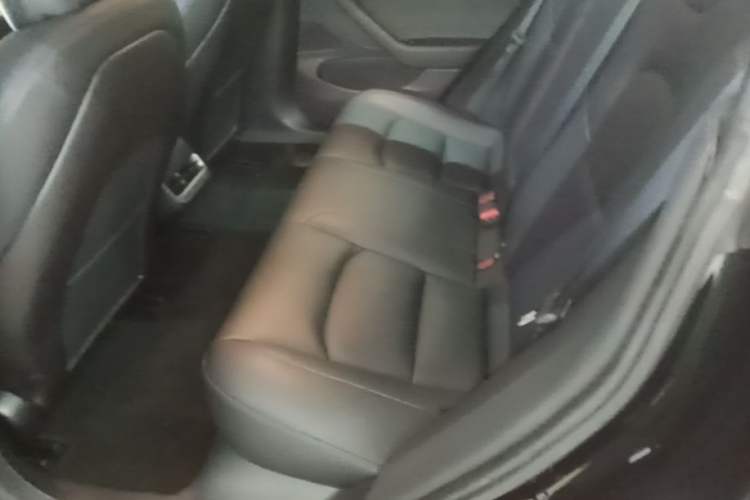 Used Tesla Model 3 2019 Long-Range Rear-Wheel-Drive Version Left Rear Seat