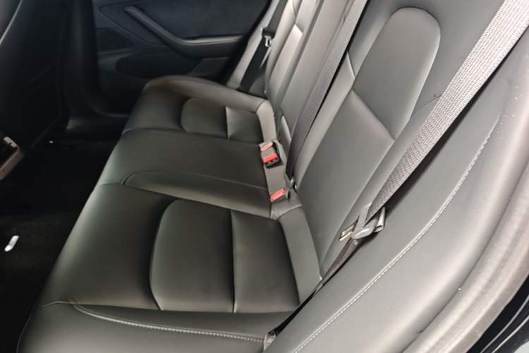 Used Tesla Model 3 2019 Standard Range Rear-Drive Upgraded Version Left Rear Seat