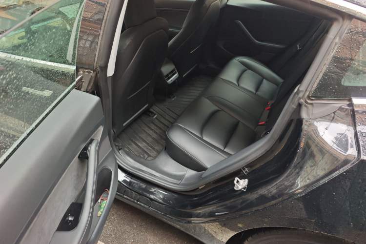 Used Tesla Model 3 2019 Standard Range Rear-Drive Upgraded Version Left Rear Seat