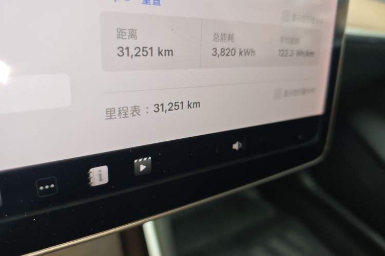 Used Tesla Model 3 2019 Standard Range Rear-Drive Upgraded Version Odometer Close Up