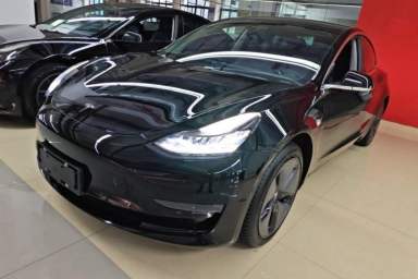 Used Tesla Model 3 2019 Long-Range Rear-Wheel-Drive Version