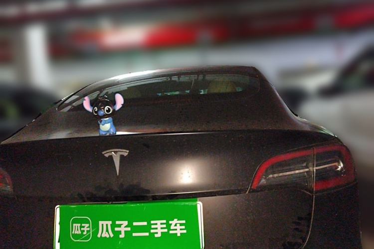 Used Tesla Model 3 2019 Long-Range Rear-Wheel-Drive Version Rear