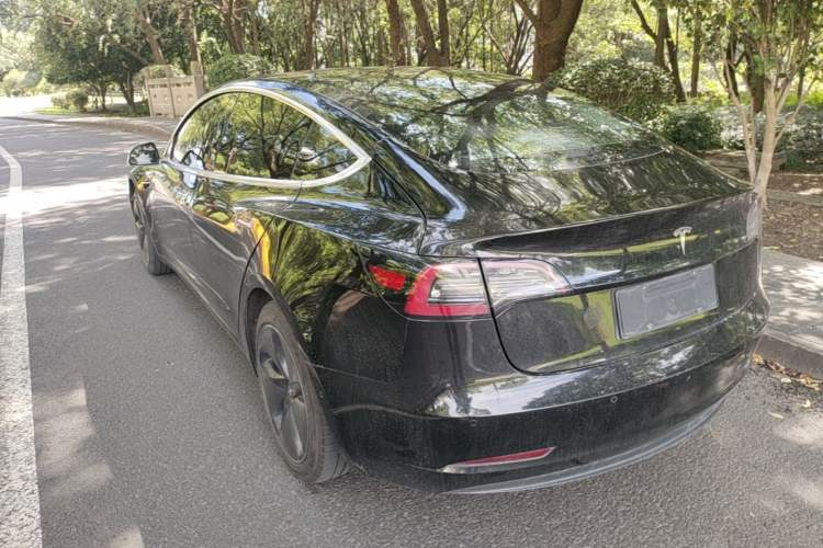 Used Tesla Model 3 2019 Long-Range Rear-Wheel-Drive Version Rear Left 45 Deg