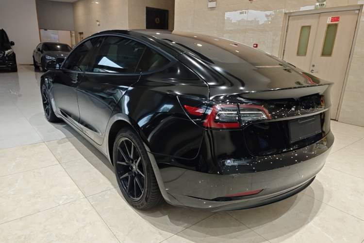 Used Tesla Model 3 2019 Long-Range All-Wheel-Drive Version Rear Left 45 Deg