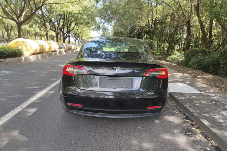 Used Tesla Model 3 2019 Long-Range Rear-Wheel-Drive Version Rear