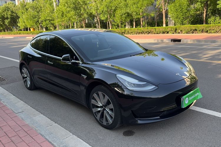 Used Tesla Model 3 2019 Standard Range Rear-Drive Upgraded Version Rear Right 45 Deg